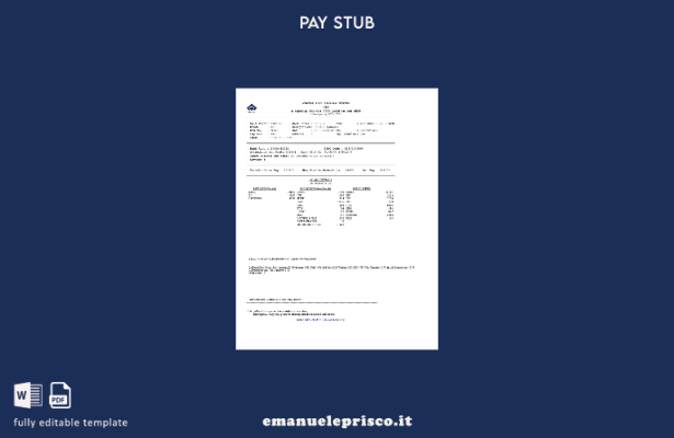 modello di busta paga del sistema di busta paga centralizzato in stile verificat